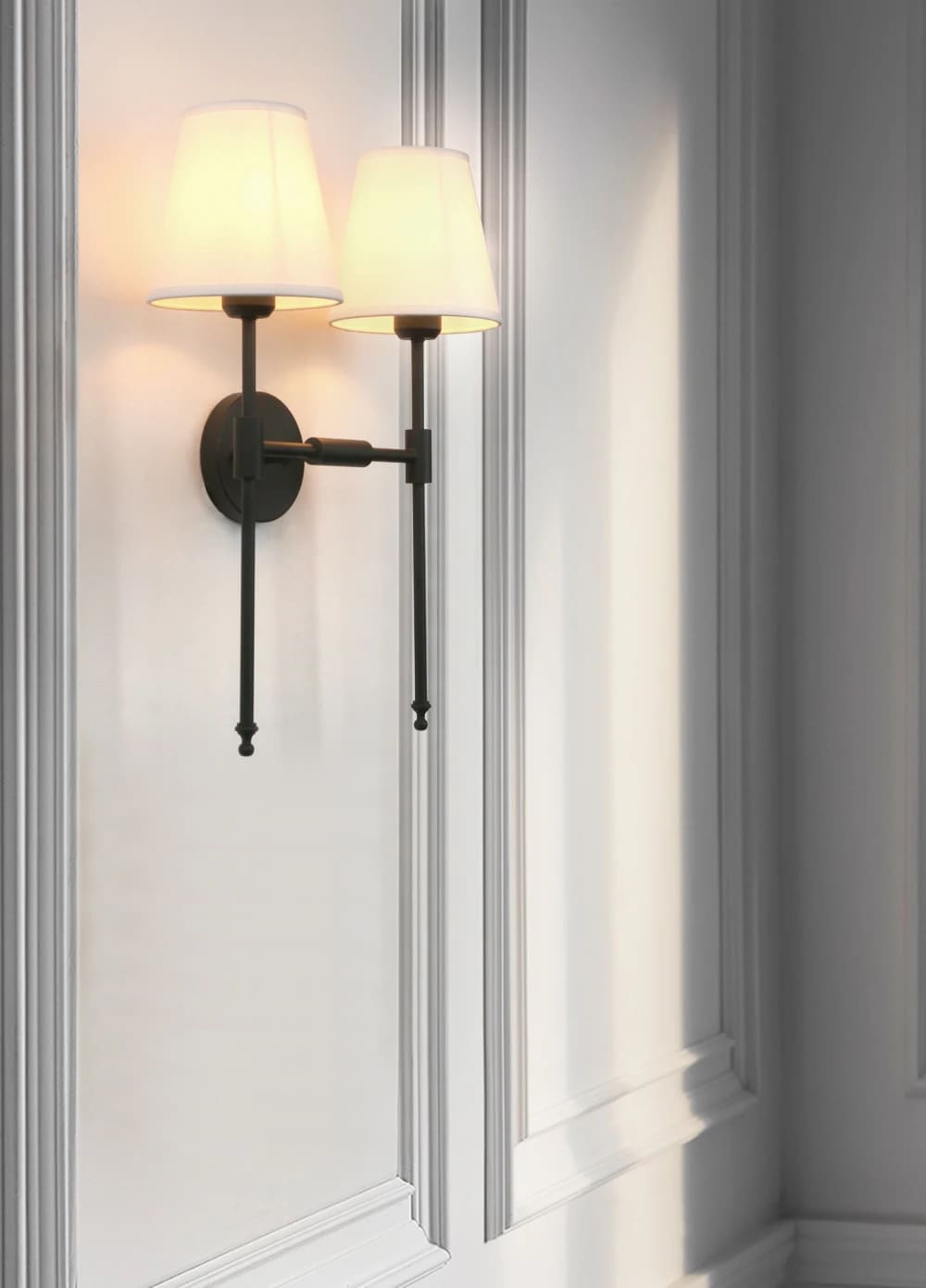 2 light sconce wall lighting