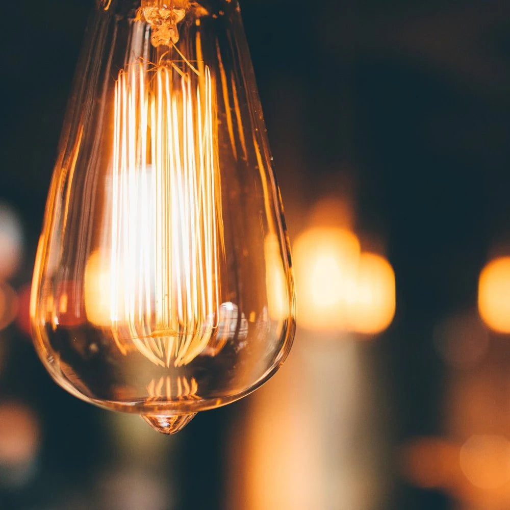 edison bulb light fixture