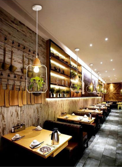 restaurant hanging plant light