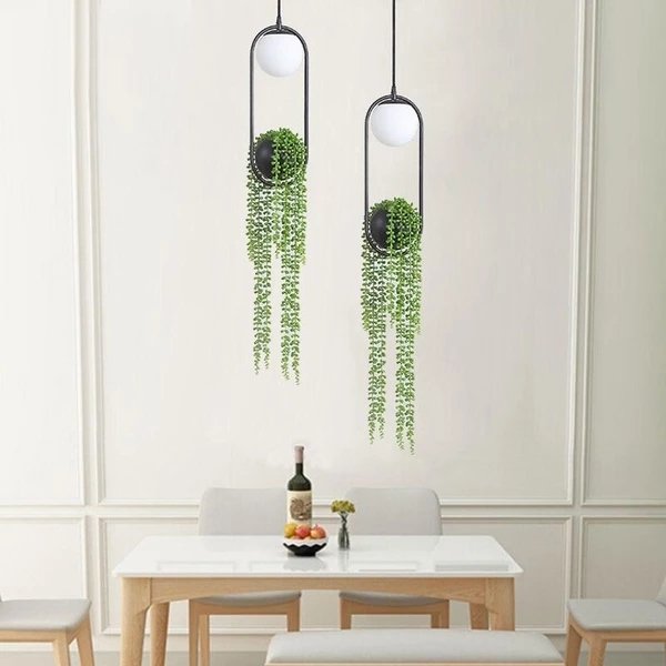 best low light hanging plants