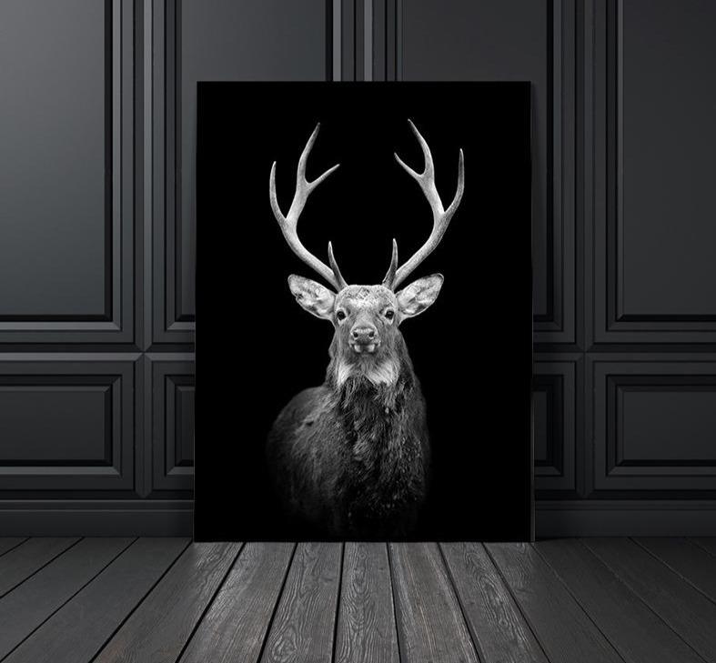 black and white animal drawing