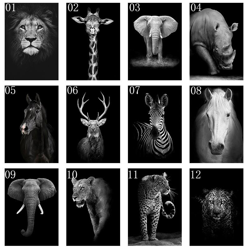 Black and white animals prints