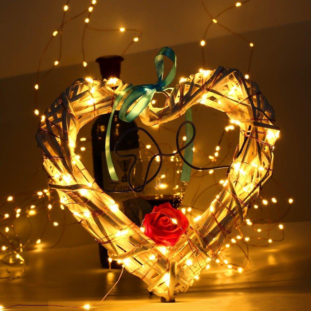 flexible LED string lights firefly