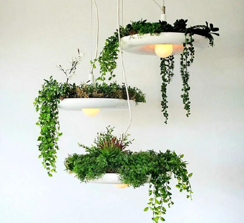 hanging grow lights for indoor plantsâ