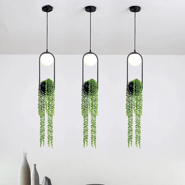 low light hanging plants