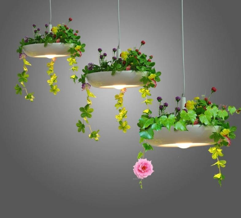 low light indoor hanging plants​