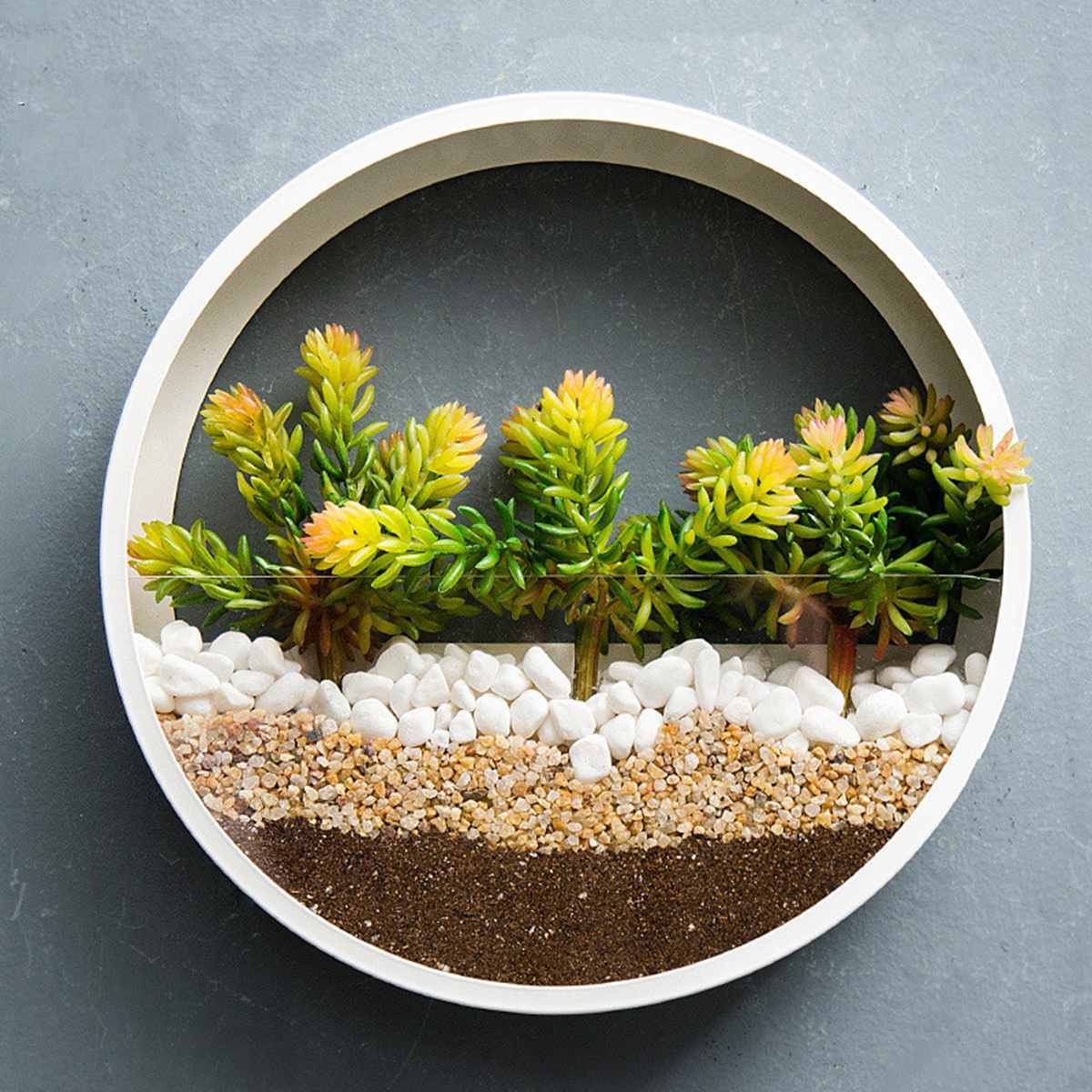 decorative wall vases for contemporary interiors