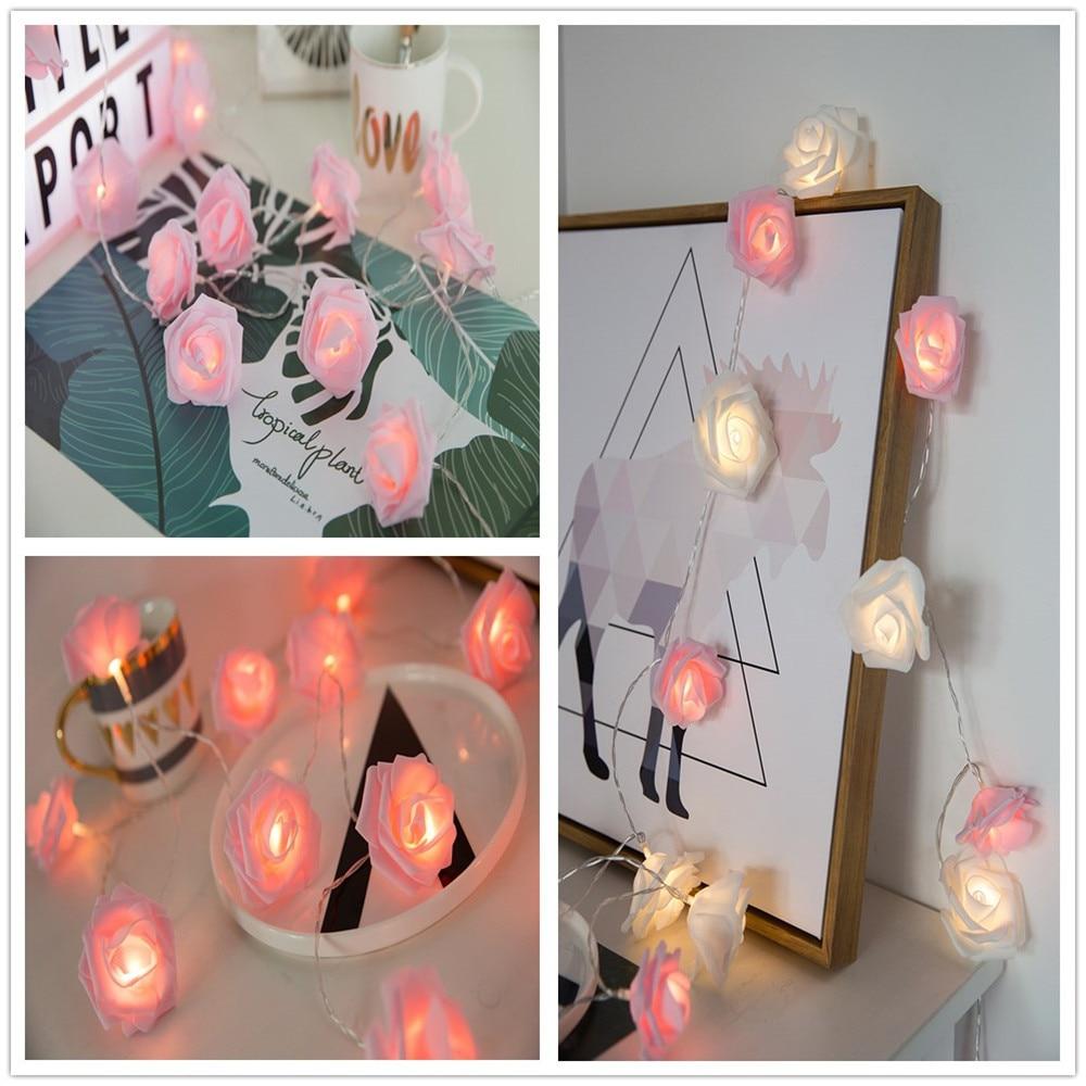pink rose flower light