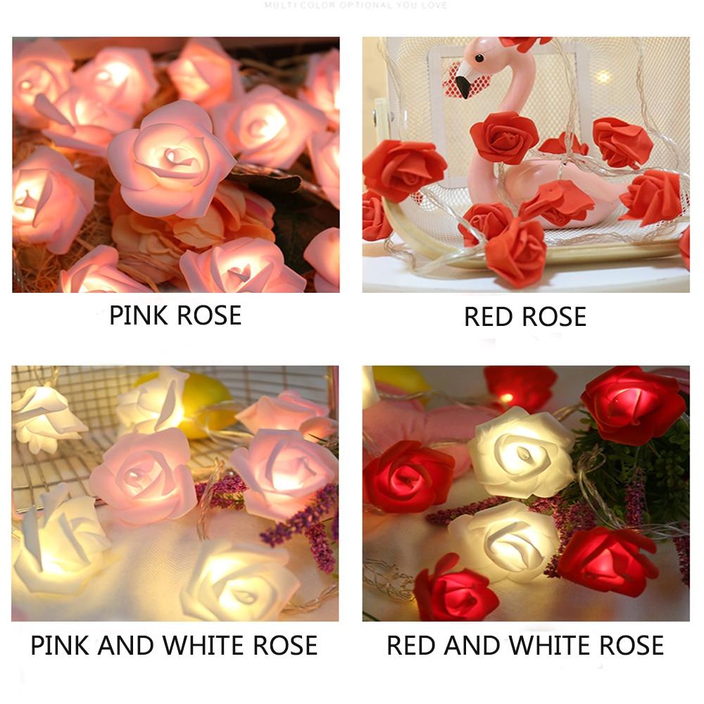 flower light rose