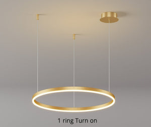 1 ring circular chandelier