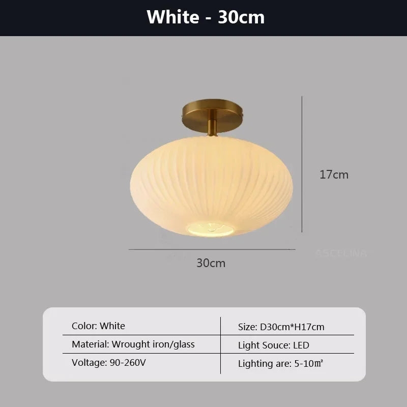 Asce Round Ceiling Light