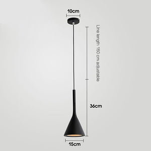 black cone hanging lamp | Lighting Homei