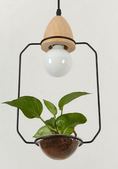 black iron plant hanging light