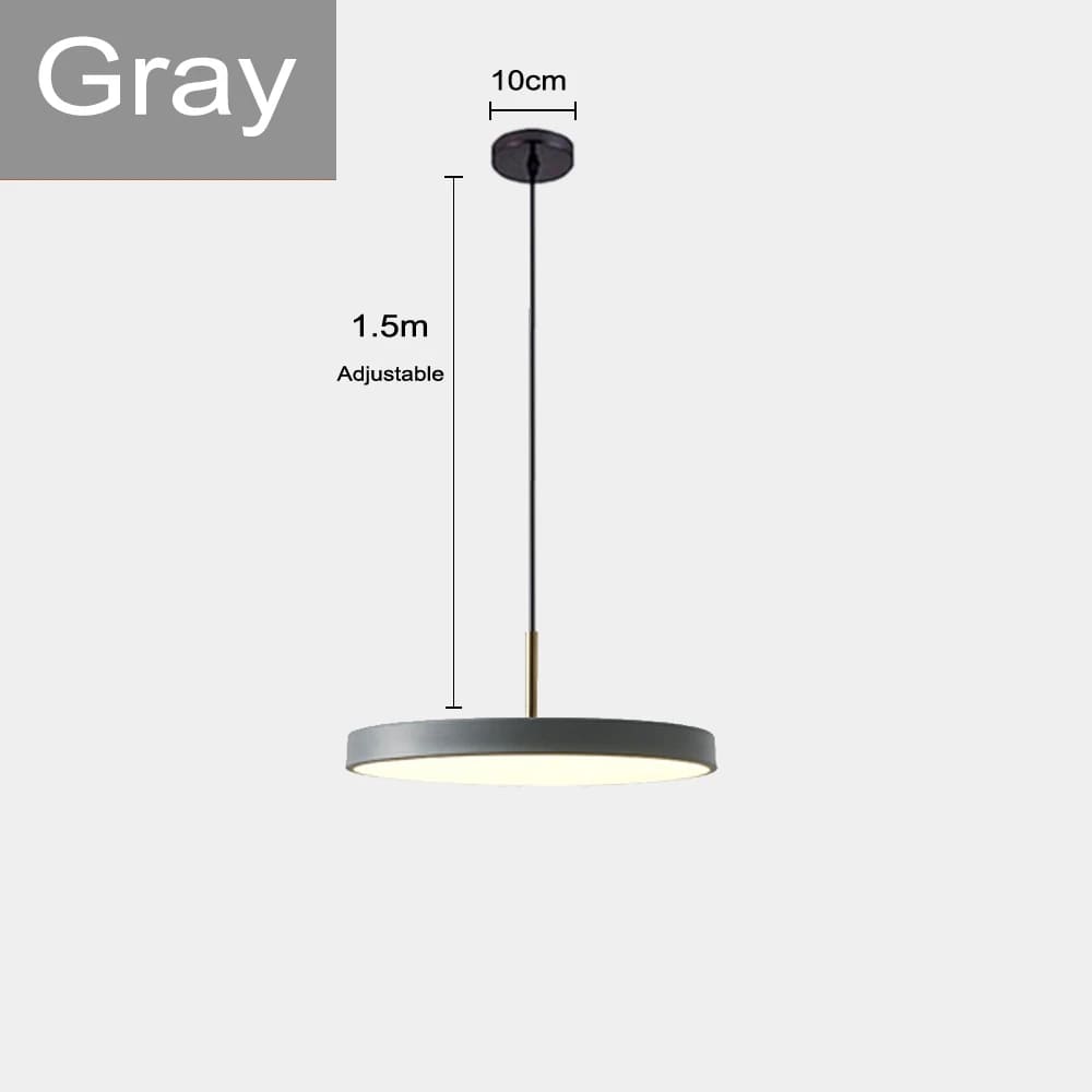 gray disc light fixture