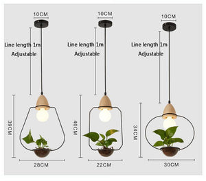 hanging grow lights for indoor plants