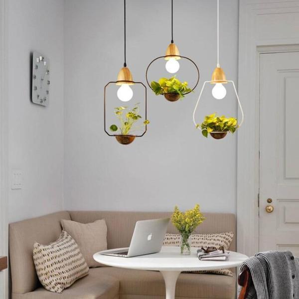 hanging light plant