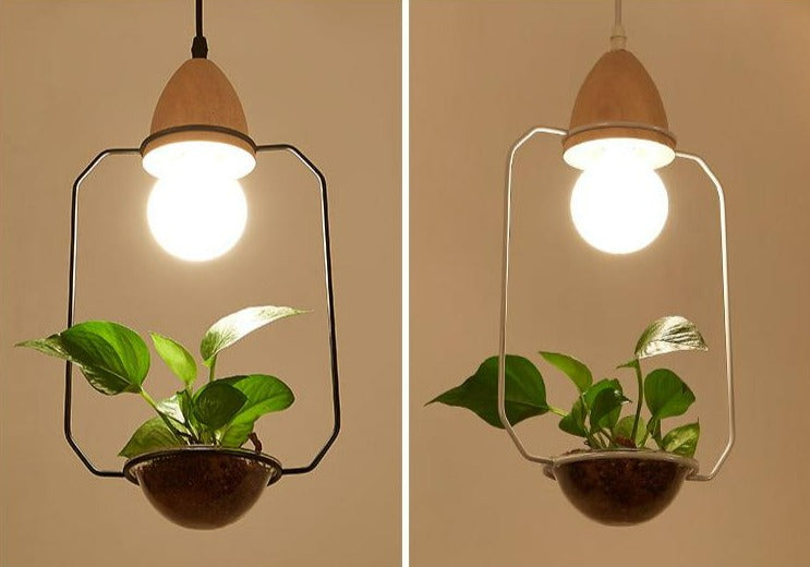 hanging plant light fixture
