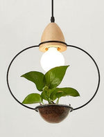 hanging planter with light