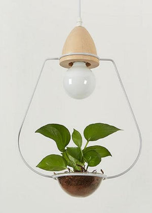 plant hanging light white iron