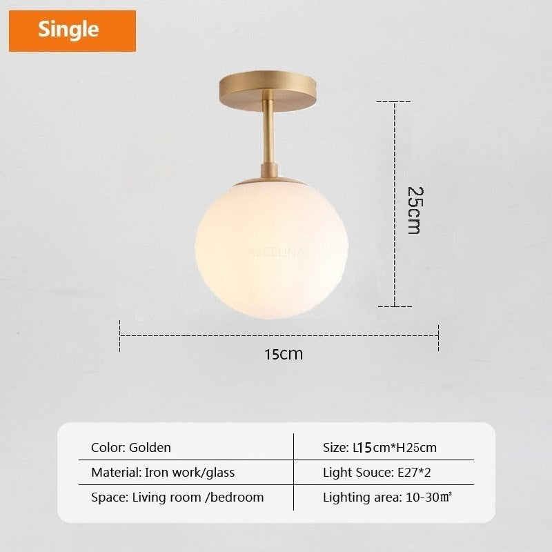 single light glass globe ceiling lamp