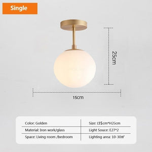 single light glass globe ceiling lamp