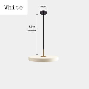 white disc light fixture