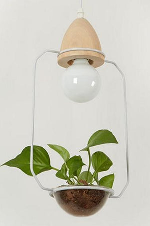 white hanging plant light fixture