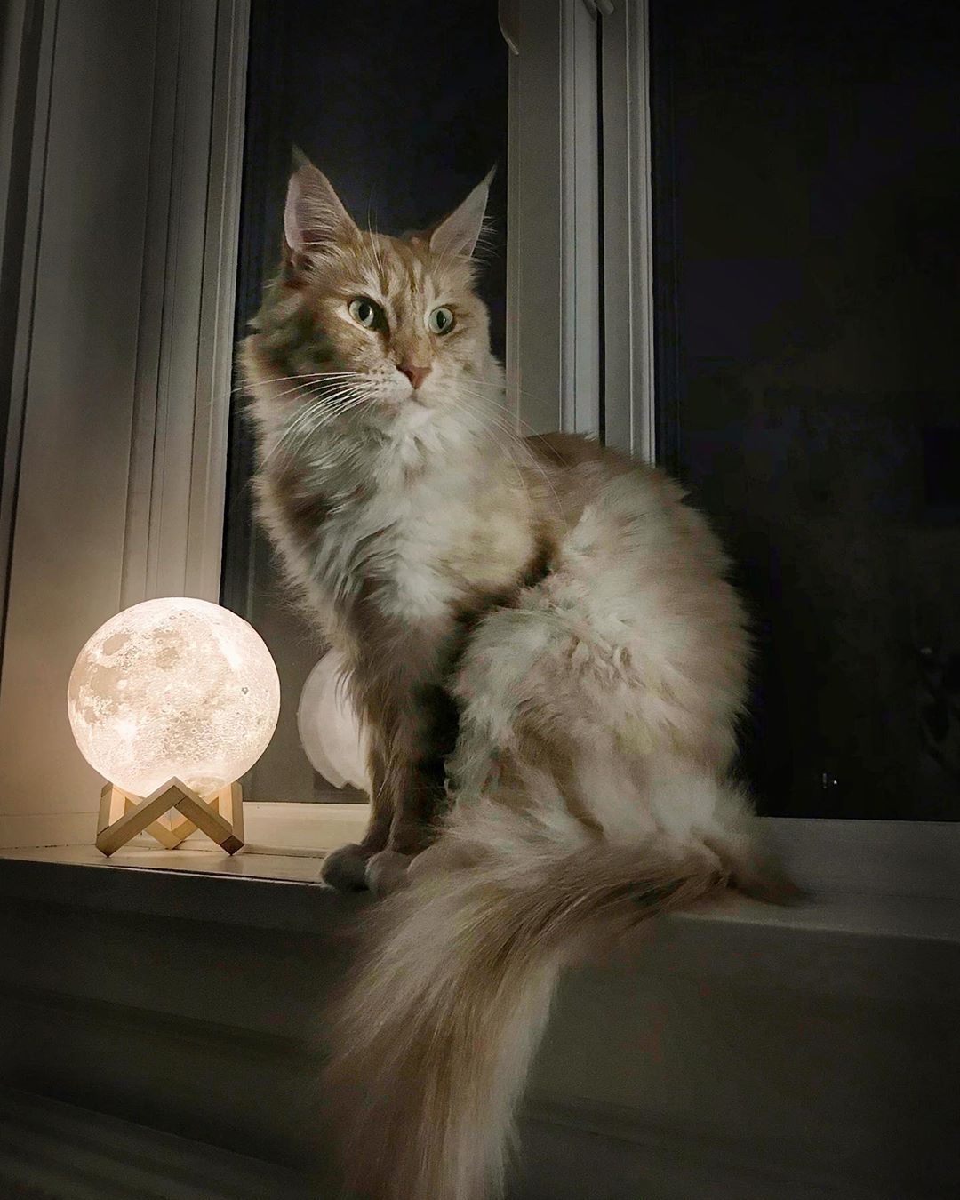 Warm yellow and white light moon lamp side by side