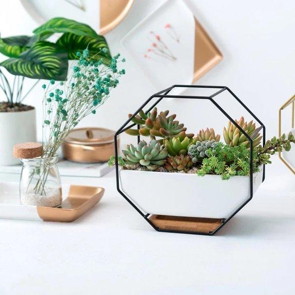 Agya - Iron Frame Ceramic Geometric Planter Lala Lamps Store