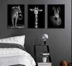 black and white animal prints