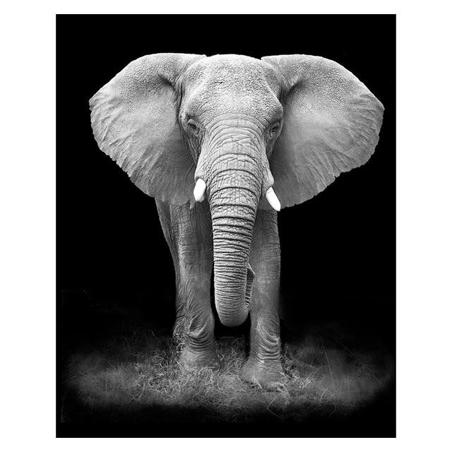 elephant canvas wall art