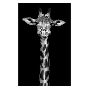 giraffe animal black and white canvas wall art