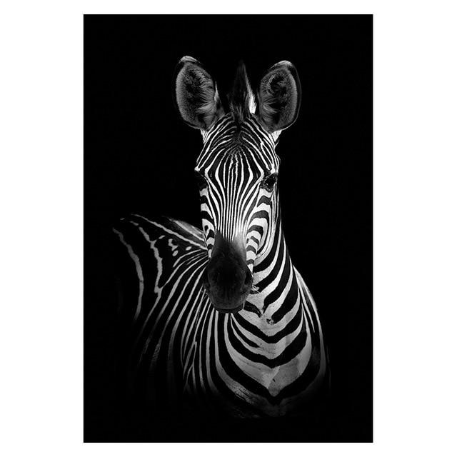 black and white animal pictures