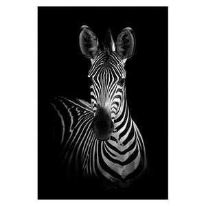 black and white animal pictures