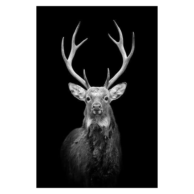 deer canvas wall art