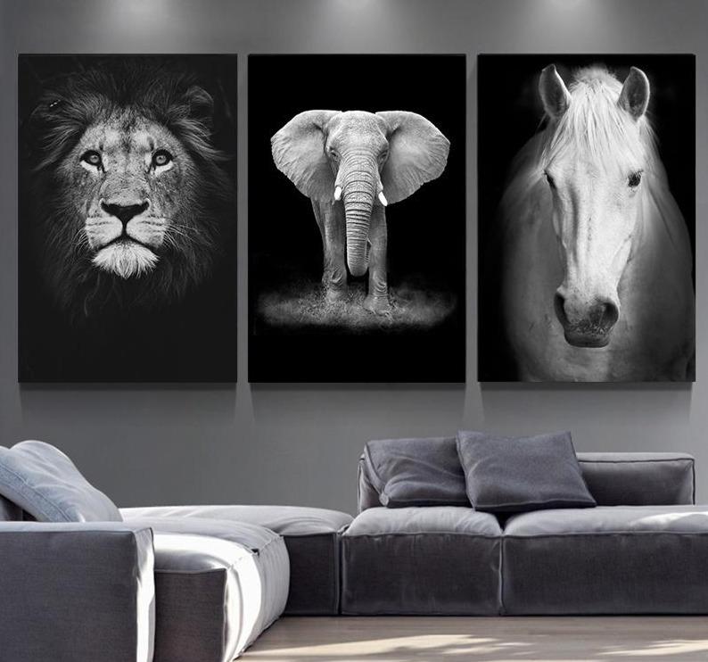 Black and white animal pictures