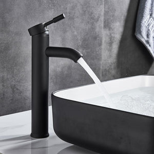 Black stainless steel faucet