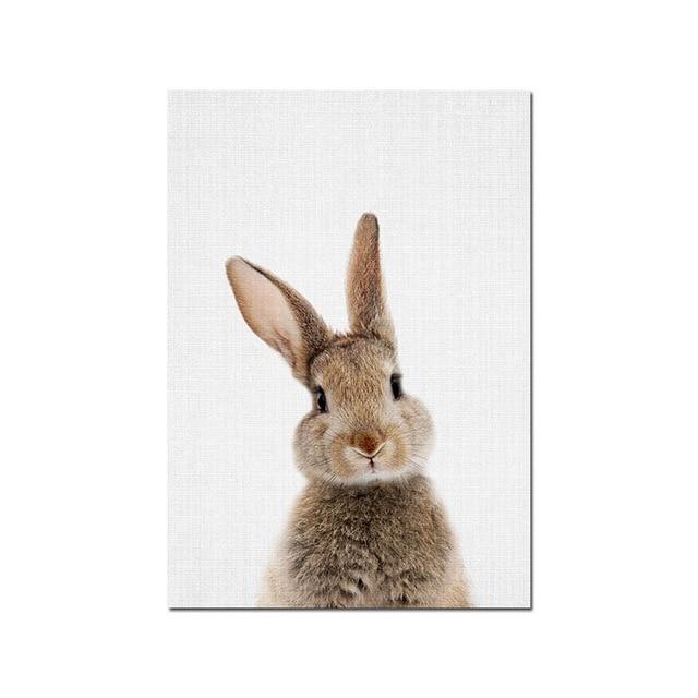 Bunny Rabbit Tail Canvas Wall Art - Lala Lamps Store