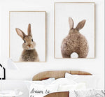 Bunny Rabbit Tail Canvas Wall Art - Lala Lamps Store