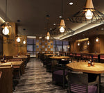 cage pendant light fixture