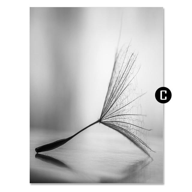 Dandelion Flower Canvas Wall Art - Lala Lamps Store