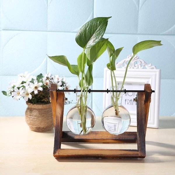 Glass Terrarium Tabletop Planter - Lalla Lamps Store