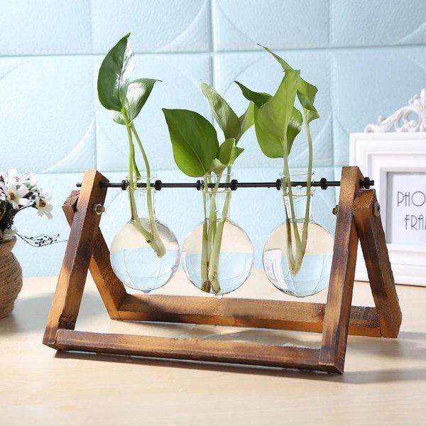 Glass Terrarium Tabletop Planter - Lalla Lamps Store