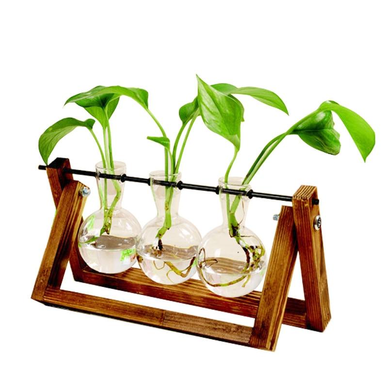 Glass Terrarium Tabletop Planter - Lalla Lamps Store