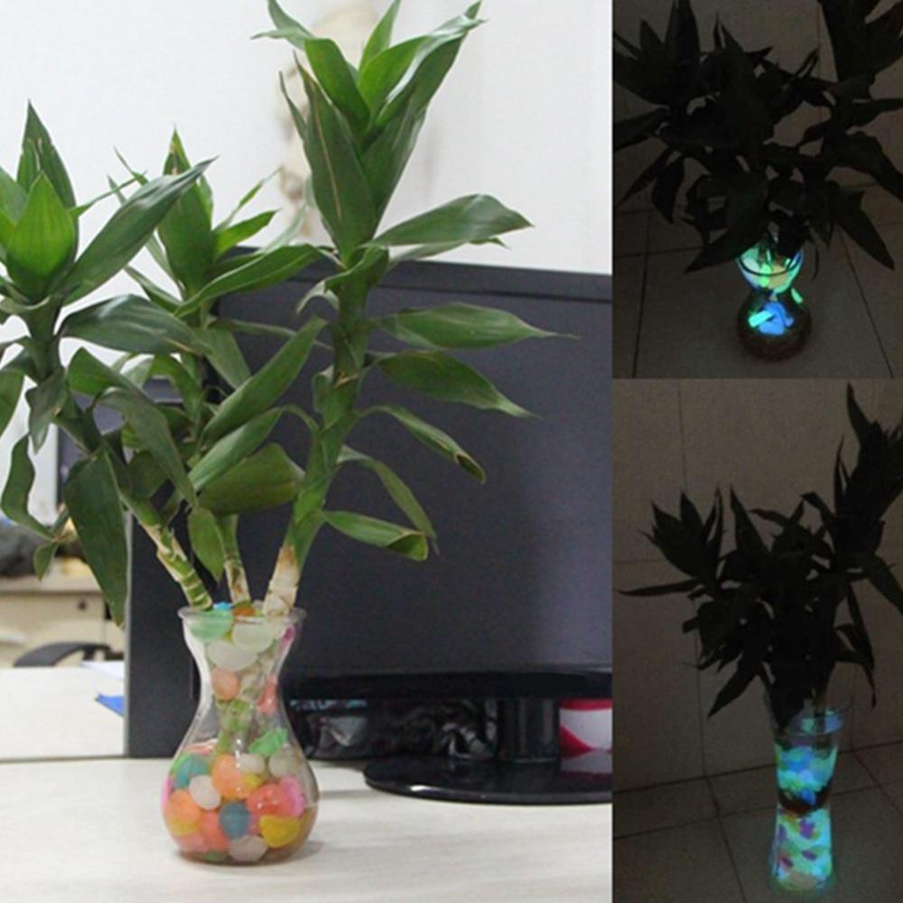 Glow In The Dark Garden Pebbles