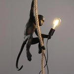 hanging monkey lamps with rope