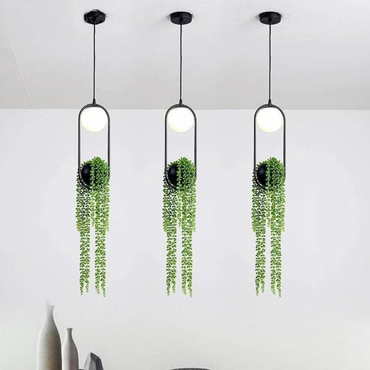 low light hanging plants