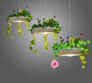 hanging light planter