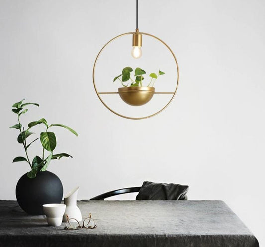 pendant pots with plants​