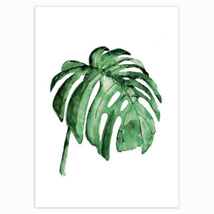 Tropical Plant paintings